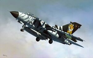 【送料無料】ホビー　模型車　車　レーシングカー ホビーボス80354 tornado ecr 148 hobby boss