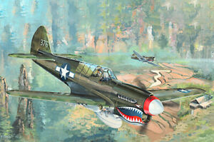【送料無料】ホビー　模型車　車　レーシングカー ホークトランペッター2212 p40n war hawk in 132 trumpeter