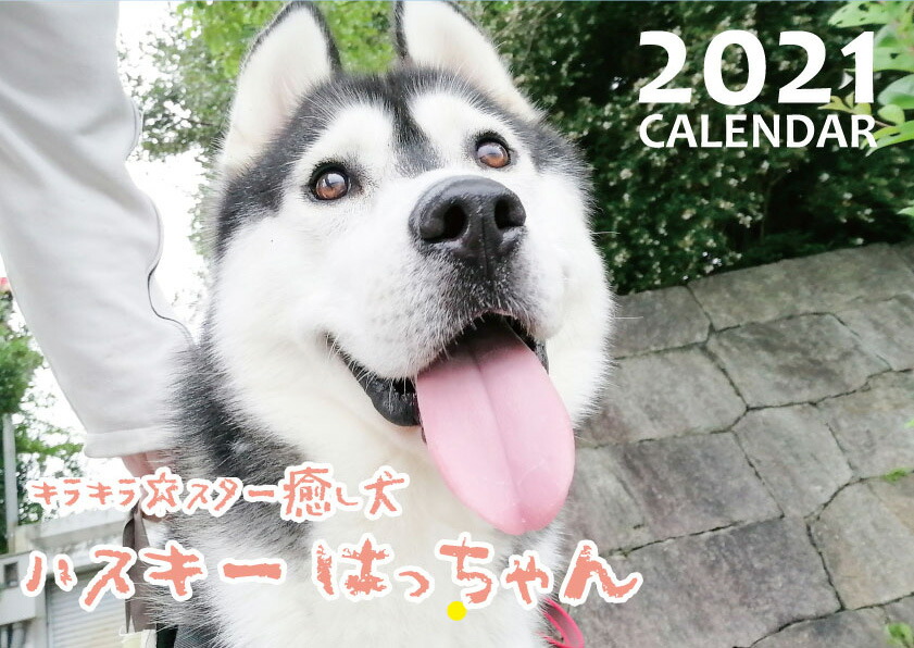 楽天市場 予約販売 シベリアンハスキー はっちゃん 21年 壁掛けカレンダー Kk Hokushin