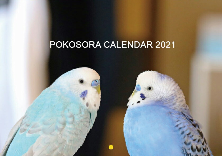 楽天市場 予約販売 セキセイインコ Pokosora 21年 壁掛けカレンダー Kk Hokushin