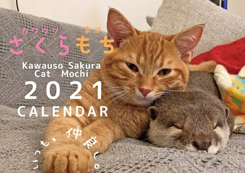 楽天市場 予約販売 カワウソ さくら 猫 もち 21年 壁掛けカレンダー Kk Hokushin
