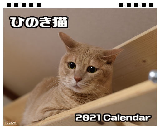 楽天市場 予約販売 ひのき猫 卓上カレンダー全面 Tc21057 Hokushin