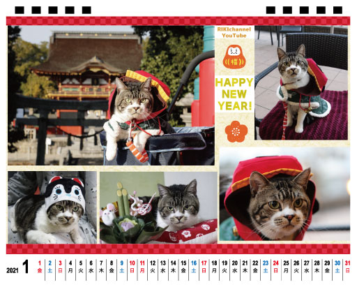 楽天市場 予約販売 猫のリキちゃんねる 21年 卓上カレンダー Tc Hokushin