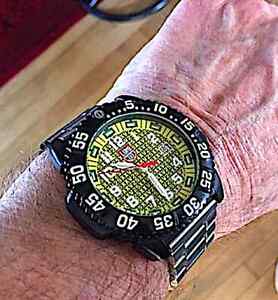 【貨物輸送無料】ウォッチ ルミノールトダイバーミンティluminox  25th anniversary diver , 3950,  minty  special low  holiday