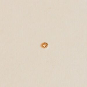 【送料無料】腕時計　ピニョーネディカリカレモントワールゼニスpignone di carica remontoir 410 zenith 136