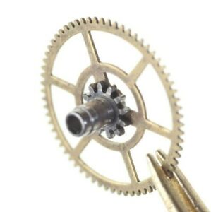 【送料無料】腕時計　ピニョーネカルザンテキャノンピニオンeta 2452 2454 2472 pignone calzantecannon pinion with driving wheel 242 h205