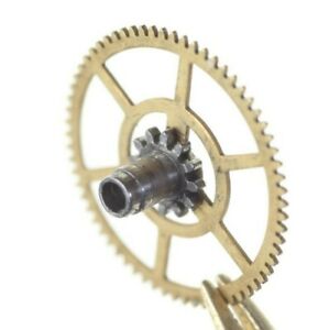 【送料無料】腕時計　ピニョーネカルザンテキャノンピニオンeta 2452 2454 2472 pignone calzantecannon pinion with driving wheel 242 h205 13,476円