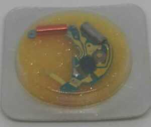 【送料無料】腕時計　circuito eta esa 960111 960111 circuit