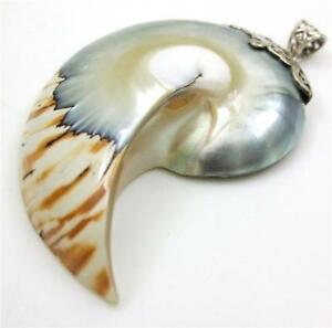 【送料無料】ジュエリー・アクセサリー natural tiger stripe nautilus shell 925 sterling silver pendant jewelry sg050r