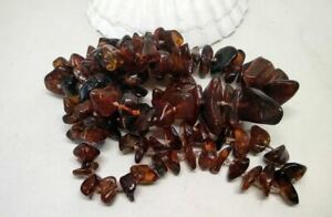 【貨物輸送無料】宝飾品・佩び物 アンバーネックレスヴィンテージコニャックアンバーロングネックレス
