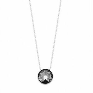 【貨物輸送無料】宝飾品・佩び物 エナメルシルバーネックレスペンダントcollier argent pendentif plumes de paon en email noir