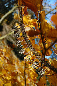 【送料無料】ジュエリー・アクセサリー エルベンチェーンネックレスブロンズジュエリーファンシーエルフcollier chainemaille elfique bronze feuilles bijoux medievale fantaisie elfe