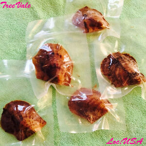 【送料無料】ジュエリー・アクセサリー アコヤカキfive individually wrapped akoya oysters with large pearls