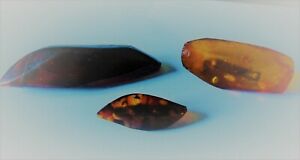 【送料無料】ジュエリー・アクセサリー ブローチ3 broches anciennes en ambre|hokushin