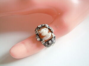 【送料無料】ジュエリー・アクセサリー オールドシルバーリングシェルクリアラインストーンズornato vecchio 925 anello argento con shell gemme amp; chiaro strass gr54
