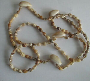 日本産 楽天市場 送料無料 ジュエリー アクセサリー ヴェリヴァブルコリアーアンコキラージュveritable Collier En Coquillages 50 Cm Hokushin 超大特価 Ljm Umkt Ac Id