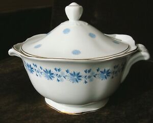 キッチン用品・食器・調理器具・陶器 アラビアフェンノ中国スープチューリーンふた付きARABIA FENNO CHINA SOUP TUREEN WITH LID