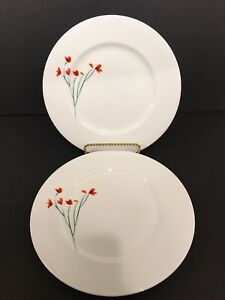 【送料無料】キッチン用品・食器・調理器具・陶器 クレートとバレルアンナの芸術性サラダプレートクレートバレルフラワープレートCRATE AND BARREL ANNA’S ARTISTRY SALAD PLATES(2) CRATE & BARREL FLOWER PLATES|hokushin