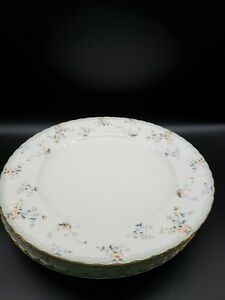 【送料無料】キッチン用品・食器・調理器具・陶器 ミカサチャイナローゼルディナープレートセットMIKASA china ROSELLE Dinner Plates Set of 4|hokushin