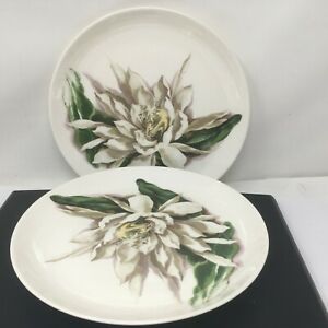 新しい到着 送料無料 キッチン用品 食器 調理器具 陶器 サンタアニタウェアの花のハワイの夜咲くセレウスディナープレートのロットlot Of 2 Santa Anita Ware Flowers Of Hawaii Night Blooming Cereus Dinner Plates 正規品 Impactually Se