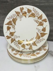 【貨物輸送無料】勝手もと装置・食器・膳立て手道具・瀬戸もの ウェジウッドゴールドナポレオンアイビーランチサラダデザートプレートパターンの書き割りSet of 6 Wedgwood Gold Napoleon Ivy Lunch Salad Dessert Plates 8 Pattern 4135