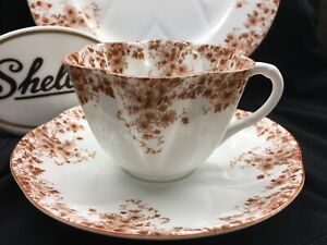 【送料無料】キッチン用品・食器・調理器具・陶器　シェリー・デインティ・ブラウン・デイジーカップ、ソーサー、インチプレートブラウントリムSHELLEY DAINTY BROWN DAISY 051/B * CUP, SAUCER and 8 PLATE * BROWN TRIM｜hokushin