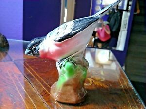 【貨物輸送無料】勝手もと装置・食器・膳立て物の具・瀬戸もの 人並み外れたに人並み外れたシェリー酒、ブルフィンチ、驚くほど輝く色でA VERY RARE SHELLEY ,BULLFINCH,IN AMAZING GLOWING COLOURS