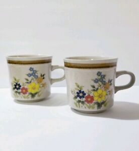 【貨物輸送無料】御厨子所備品・食器・膳立て物の具・瀬戸もの 三笠石村トロピカーナコーヒーティーカップセットMikasa Stone Village Tropicana Coffee Tea Cup Set Of 2 KB104