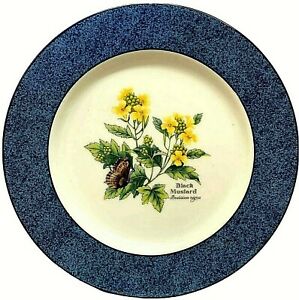 【送料無料】キッチン用品・食器・調理器具・陶器　ロイヤルウスターハーブブラックマスタードサラダプレートグリーントリムRoyal Worcester Herbs Black Mustard Salad Plates Green Trim 8 1/4