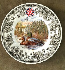 【送料無料】キッチン用品・食器・調理器具・陶器　クイーンズ・クイント・ゲーム・メイド・イン・イングランド・マラード・ディナープレートQueen's Quintessential Game Made In England mallard dinner plate 10 NEW画像
