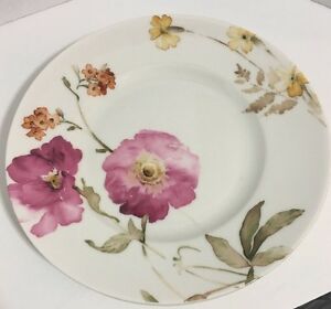 【送料無料】キッチン用品・食器・調理器具・陶器 第国際ガイアディナープレートセット磁器ファイン中国222 Fifth PTS International Gaia 11 Dinner Plates Set Of 2 Porcelain Fine China|hokushin