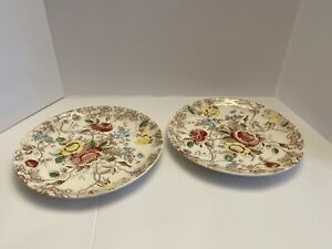 【送料無料】キッチン用品・食器・調理器具・陶器　ヴィンテージセットオブナスコローズアーバー中国ディナープレートVintage Set Of 2 Nasco Rose Arbor China Dinner Plates