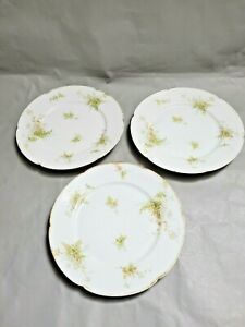 【貨物輸送無料】勝手もと装置・食器・膳立て物の具・瀬戸もの アンティークセオドア・ハビランド・リモージュプレートフローラルパターンAntique 3 Theodore Haviland Limoges Plates 9.75\u0027\u0027 W  Floral Pattern