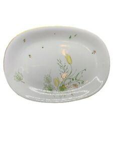 【貨物輸送無料】勝手もと装置・食器・膳立て物の具・瀬戸もの ヴィンテージストーンゲートドイツサービングプラッターオーバルスプリングブリーズVintage Stonegate Germany Serving Platter Oval Spring Breeze 13 x 9 3/8 EUC