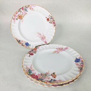 半額品 送料無料 キッチン用品 食器 調理器具 陶器 スポデコープランドチャイナチェルシーガーデンサラダプレートデザートフローラルメイドイングランド4 Spode Copeland China Chelsea Garden Salad Plate 8 Dessert Floral Made Eng 大注目 Catherineplaza Com