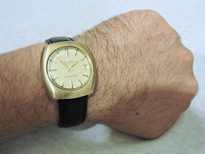 【貨物輸送無料】eternamatic 1000 concept 80 automatic 20 microns gold layer minty eternamatic