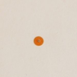 【送料無料】ruota minuti minute wheel 260 mst 422|hokushin