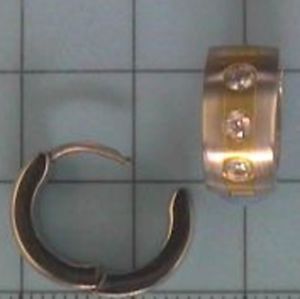【送料無料】ピアス　ピアス｜hokushin