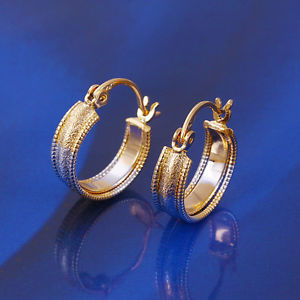 【送料無料】ピアス　ピアス　アヴァンギャルドフープbicolor ~ creolenohrringe ~ avantgarde biline ear vii ~｜hokushin