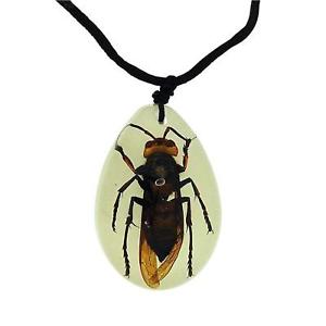 【送料無料】ネックレス　コレクションスズメバチthe olivia collection phosphorescent grand insecte collier avec vrai gupe