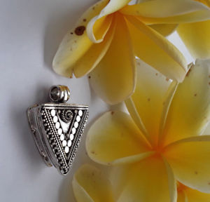 【送料無料】ネックレス　クリエイションボックスボックスシルバーagnes creations pendentif poison cret boite a secret en argent 925