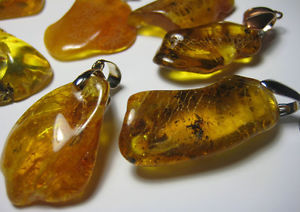 【送料無料】ネックレス　ランダムオレンジグラムバッチlot de 10 alatoire ambre baltique vritable pendentif~ poids total 4042gr