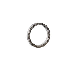 【送料無料】ネックレス　ステンレススチールデザインリングsrieux conception edvita einzelanhnger 3083 bague en acier inox pour｜hokushin