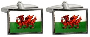 【送料無料】メンズアクセサリ&mdash;　ウェールズドラゴンカフリンクスnovelty welsh dragon flag cufflinks｜hokushin