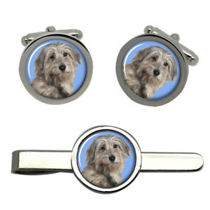 【送料無料】メンズアクセサリ―　ベルガーデピレネーピレネーラウンドタイクリップセットberger des pyrnes pyrenean shepherd round cufflink and tie clip set 14,615円