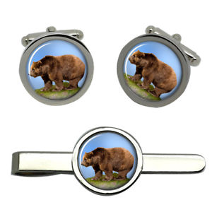【送料無料】メンズアクセサリ―　タイクリップセットbrown bear round cufflink and tie clip set