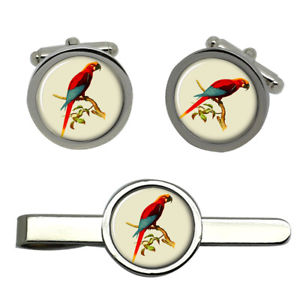 【送料無料】メンズアクセサリ— ラウンドタイクリップセットmacaw round cufflink and tie clip set|hokushin