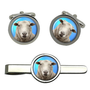 【送料無料】メンズアクセサリ―　タイクリップセットsheep round cufflink and tie clip set