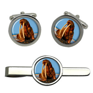 【送料無料】メンズアクセサリ&mdash;　セイウチタイクリップセットwalrus round cufflink and tie clip set｜hokushin