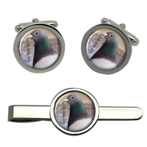 【送料無料】メンズアクセサリ―　ピジョンラウンドタイクリップセットpigeon round cufflink and tie clip set